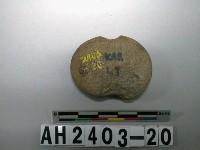 藏品(砝碼型石網墜)的圖片